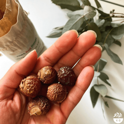 The humble soapberry – my new DIY friend