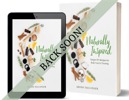 Copy of Naturally Inspired and Make & Play cover (print)-3