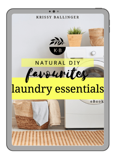 Laundry Essentials iPad image cover